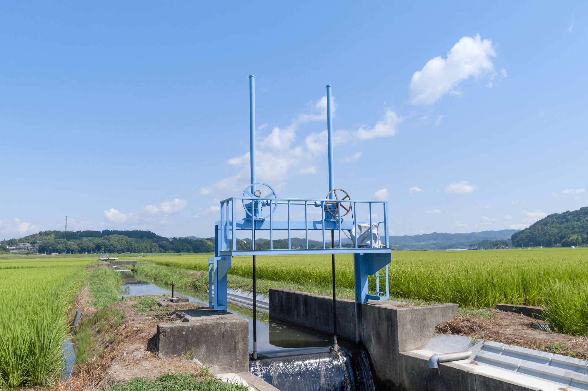 pl-999193389808.jpg